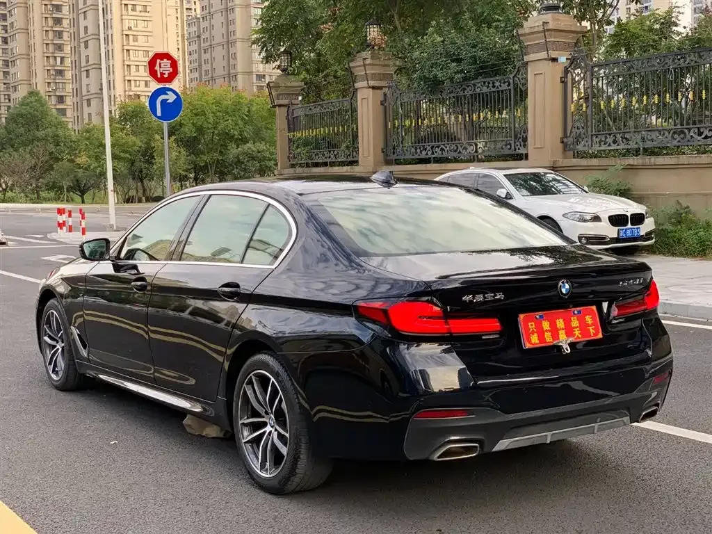 BMW 5 Series 2021 из CN, фото 6