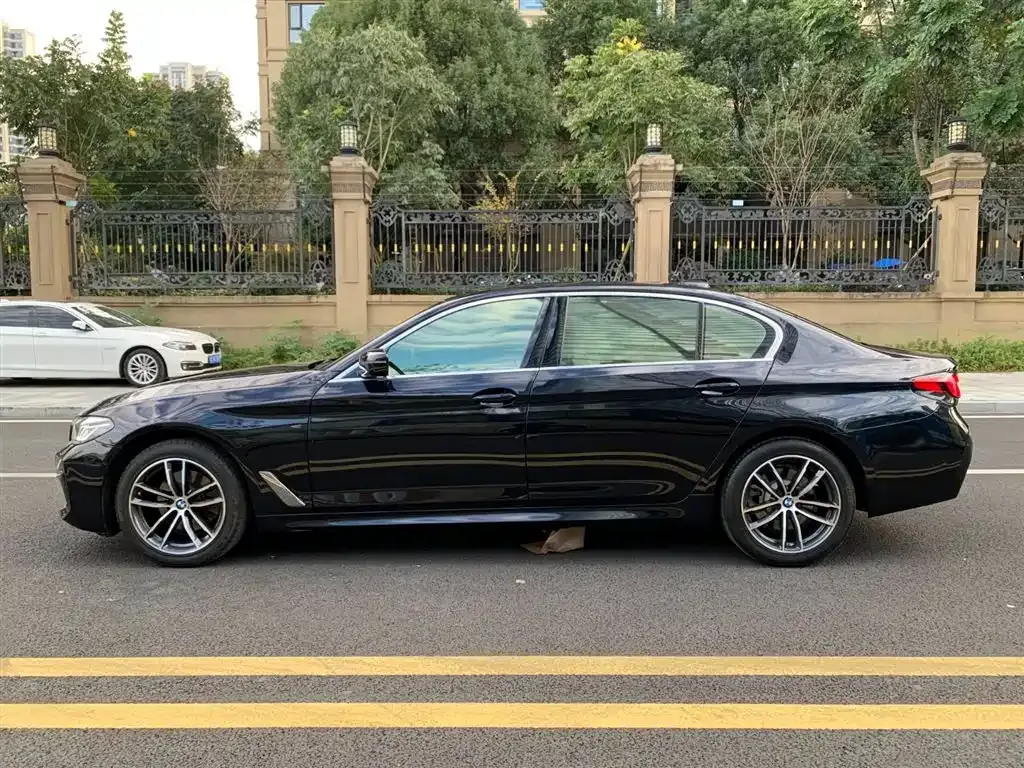 BMW 5 Series 2021 из CN, фото 7