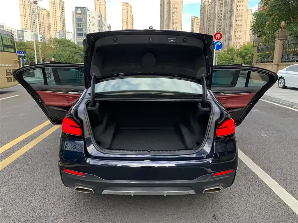 BMW 5 Series 2021 из CN, фото 8