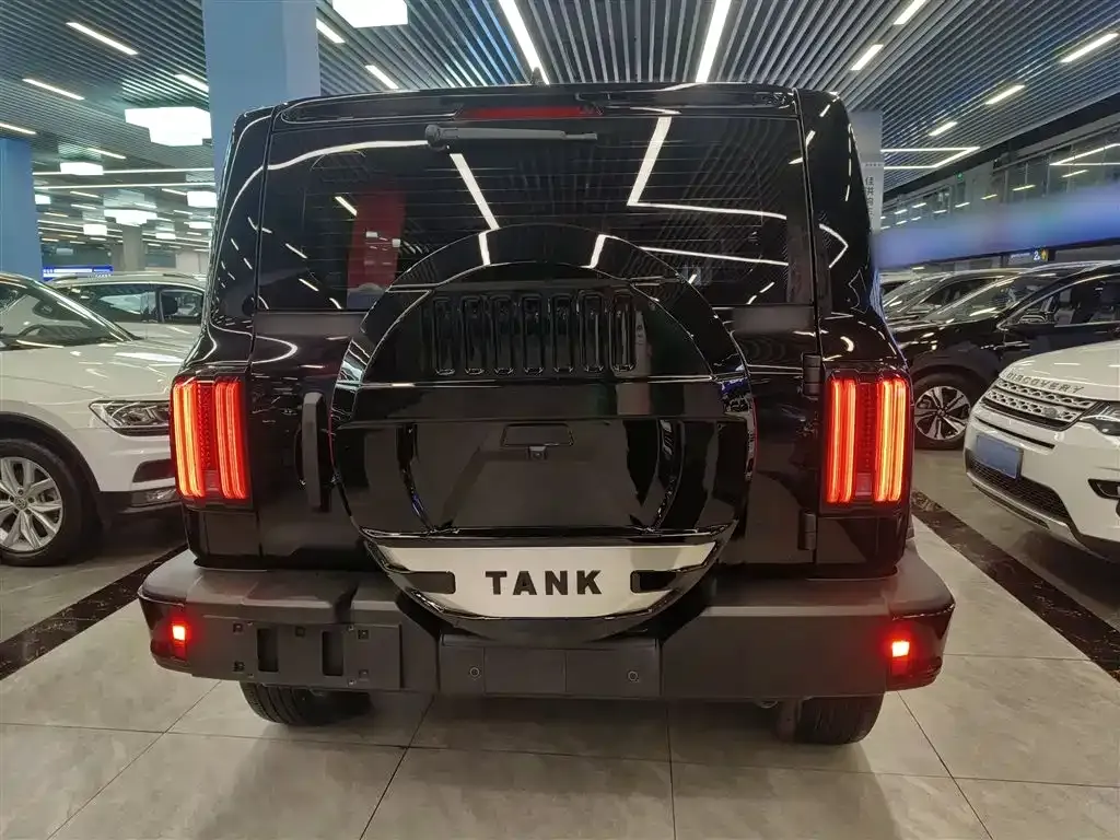 Tank 300 2024 из CN, фото 6