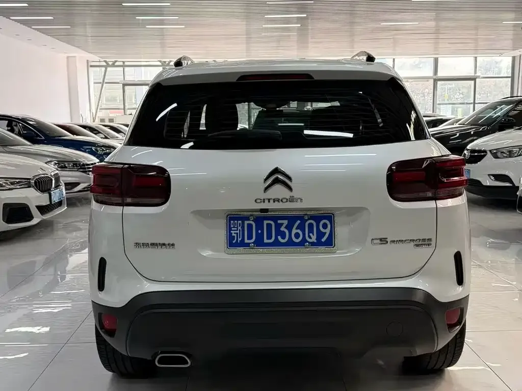 Citroen C5 AIRCROSS 2024 из CN, фото 8