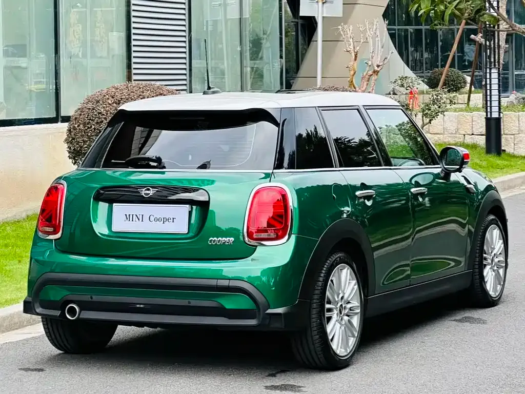 [object Object] Mini 2021 из CN, фото 6