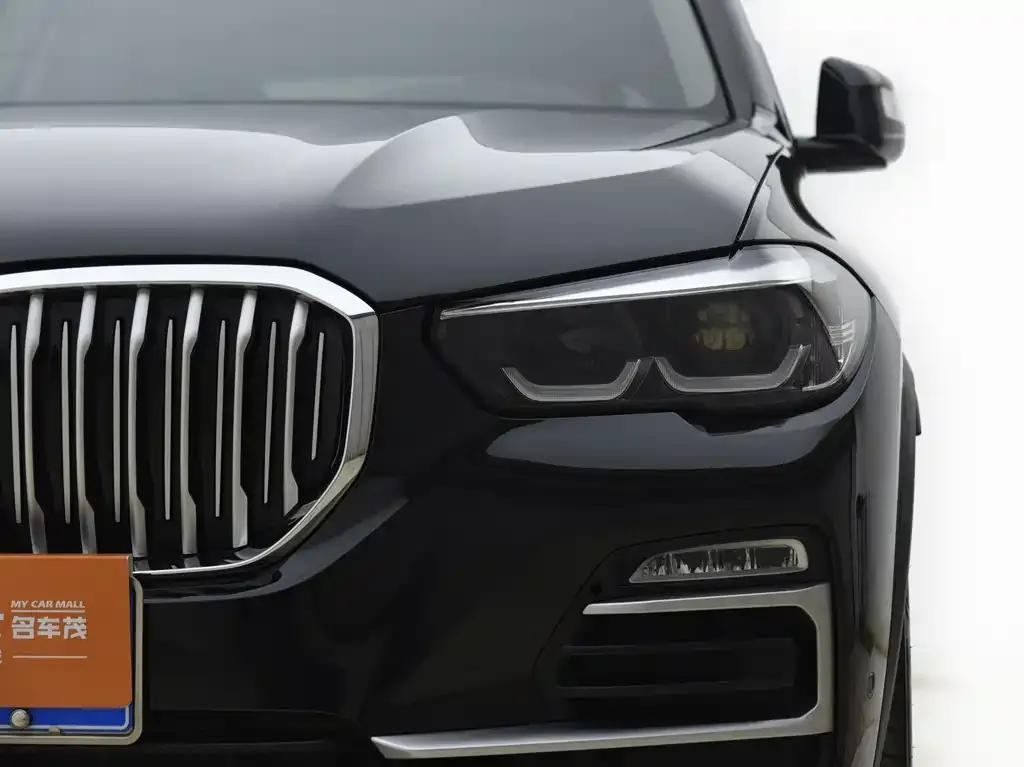 BMW X5 (Import) 2021 из CN, фото 4