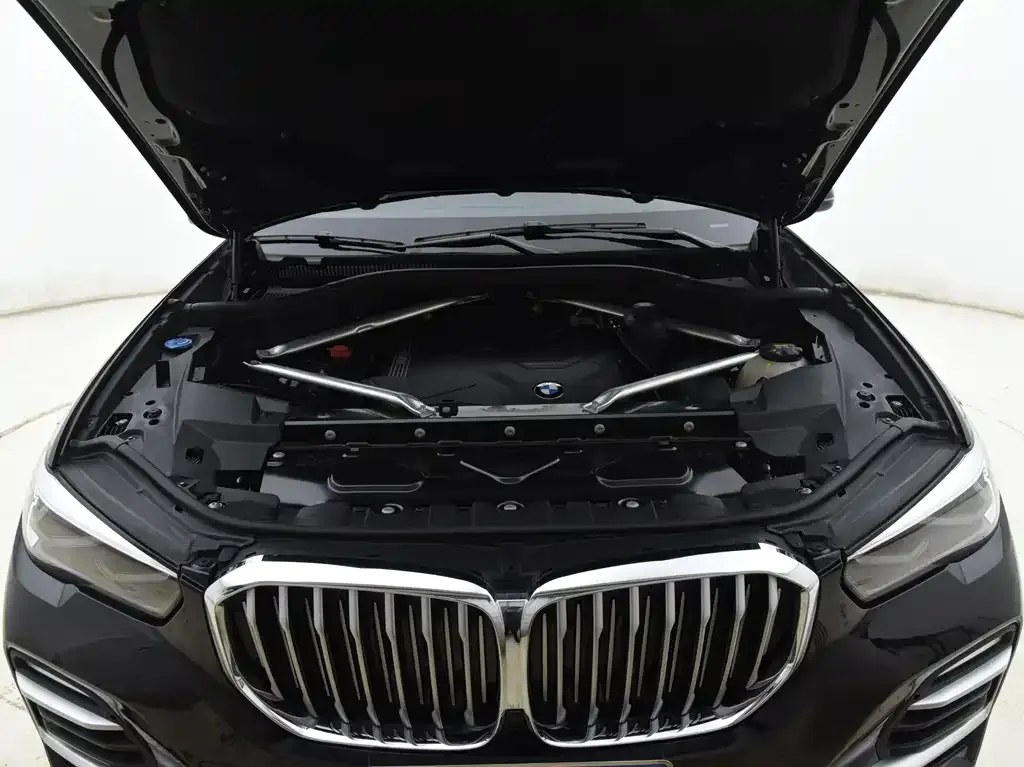 BMW X5 (Import) 2021 из CN, фото 6