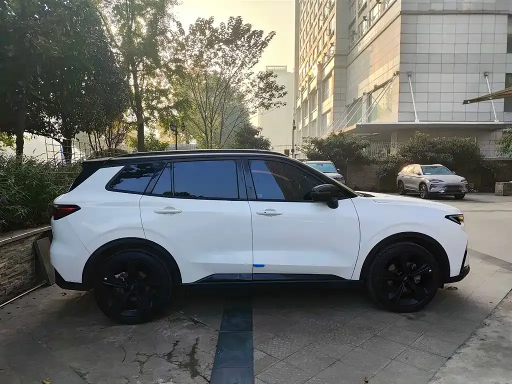 Ford Territory 2024 из CN, фото 3