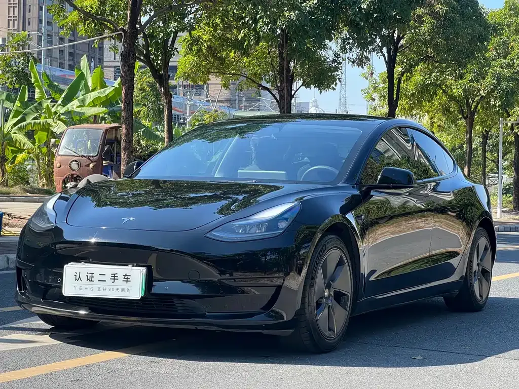 Tesla Model 3 2021 из CN, фото 1
