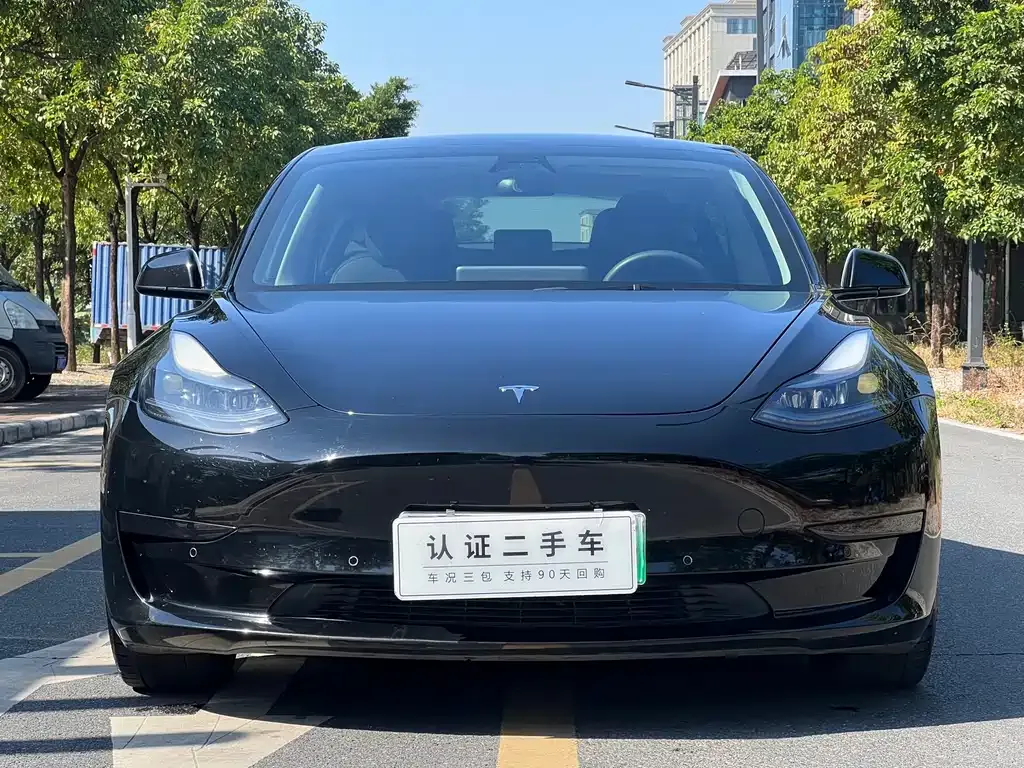 Tesla Model 3 2021 из CN, фото 2