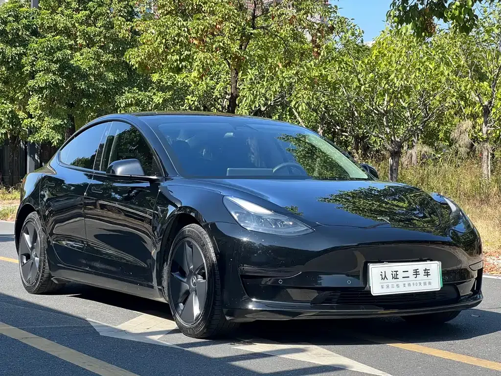 Tesla Model 3 2021 из CN, фото 3