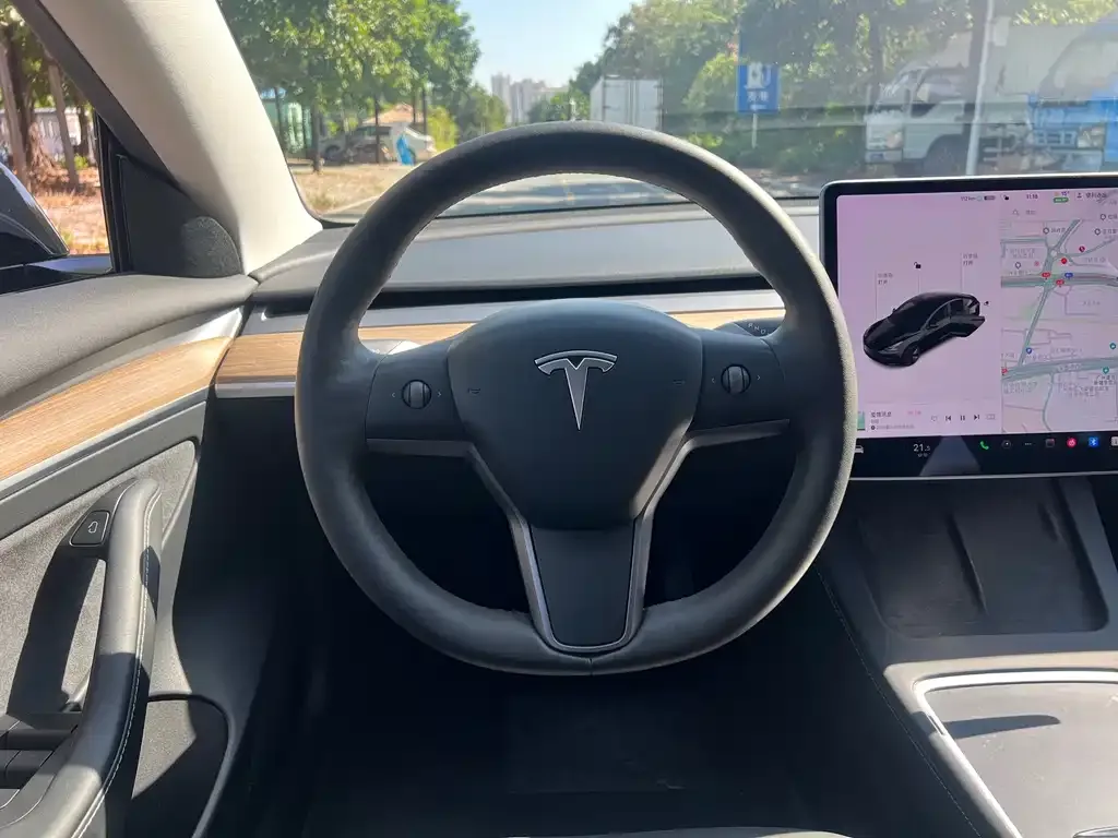 Tesla Model 3 2021 из CN, фото 4