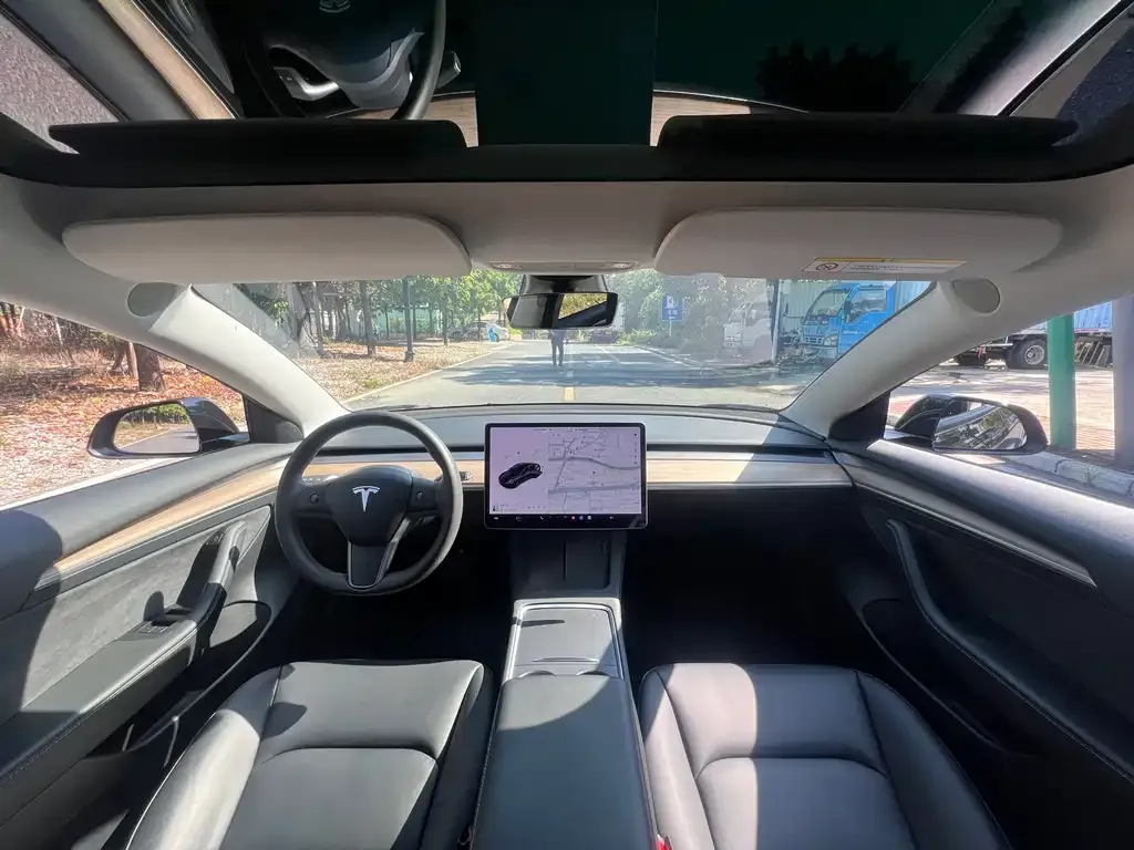 Tesla Model 3 2021 из CN, фото 5