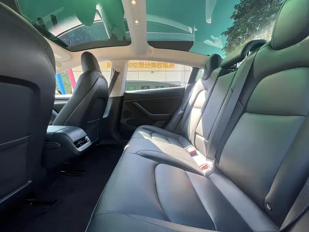 Tesla Model 3 2021 из CN, фото 6