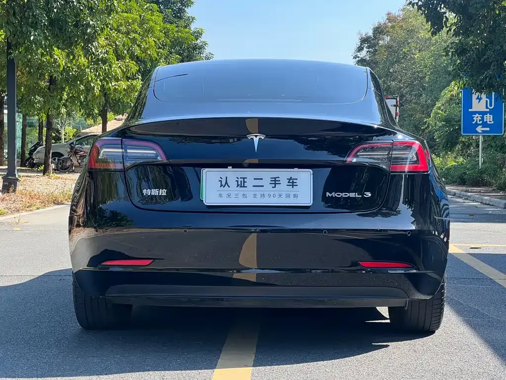 Tesla Model 3 2021 из CN, фото 8