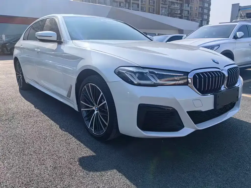 BMW 5 Series 2022 из CN, фото 3