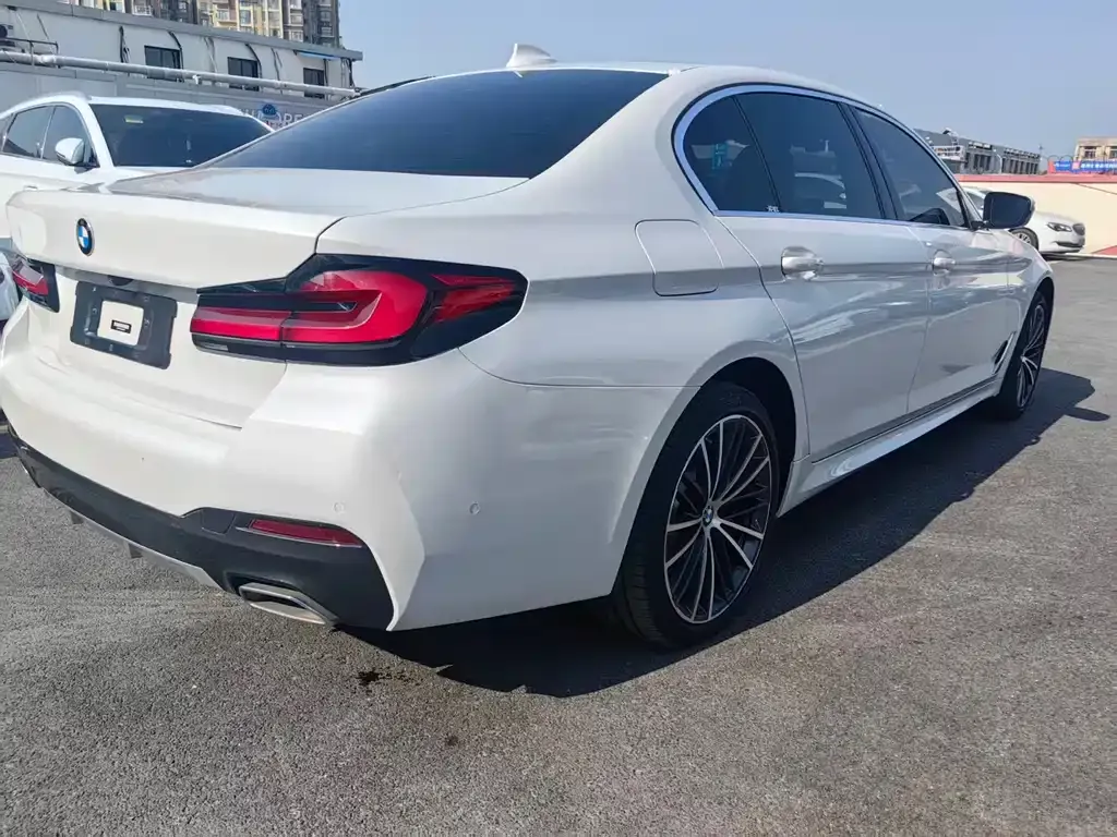 BMW 5 Series 2022 из CN, фото 4