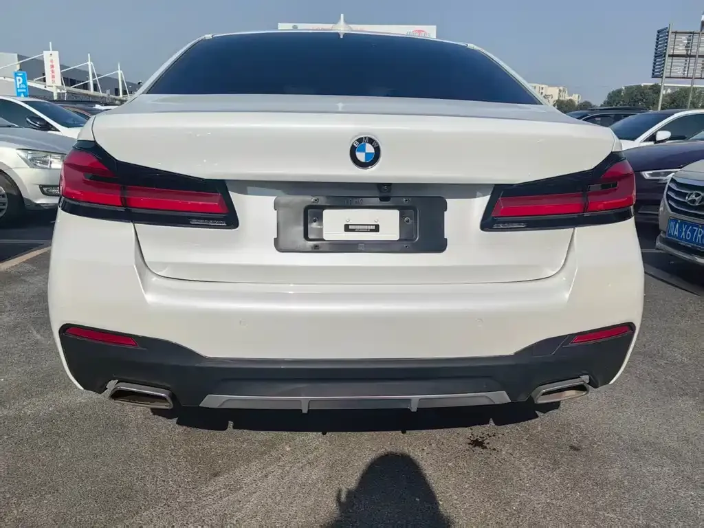 BMW 5 Series 2022 из CN, фото 5