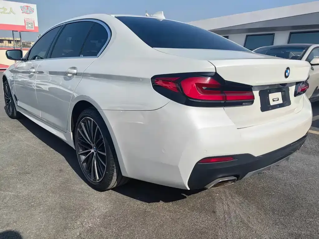 BMW 5 Series 2022 из CN, фото 6