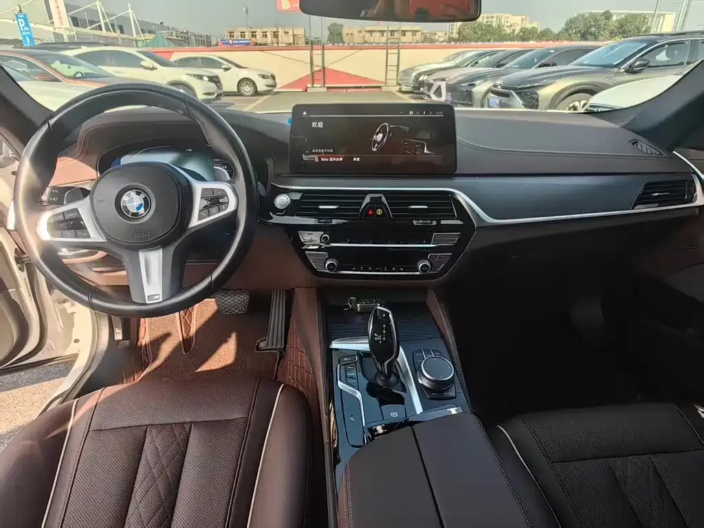BMW 5 Series 2022 из CN, фото 8