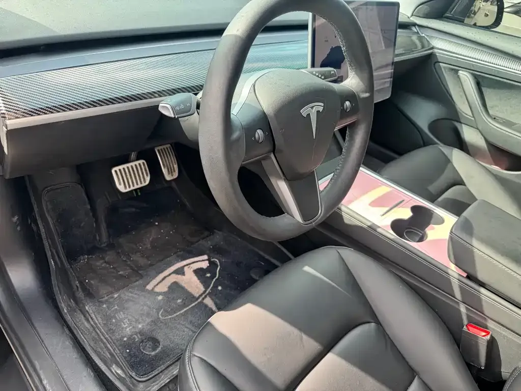 Tesla Model 3 2022 из CN, фото 7
