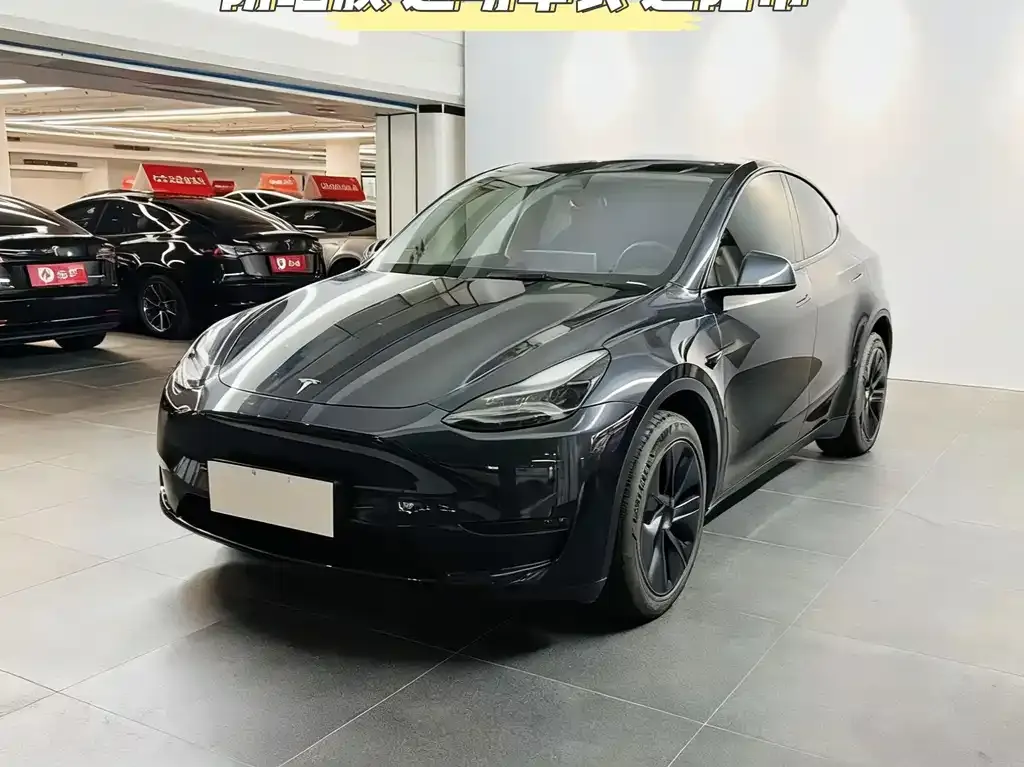 Tesla Model Y — фото 1