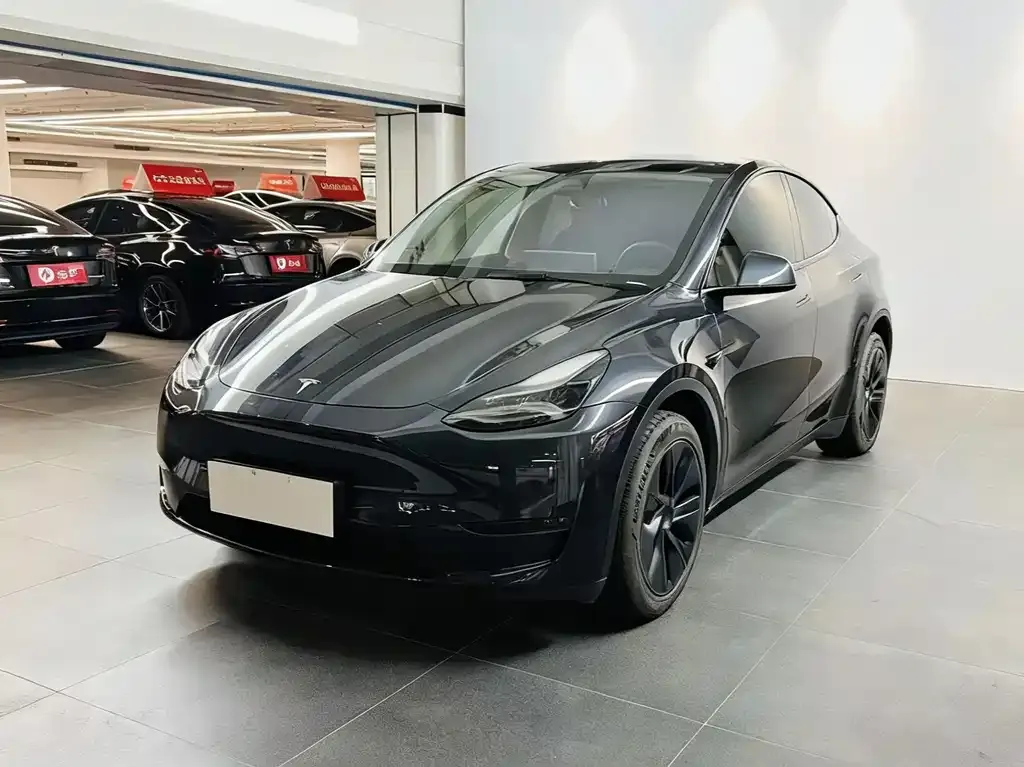 Tesla Model Y — фото 2