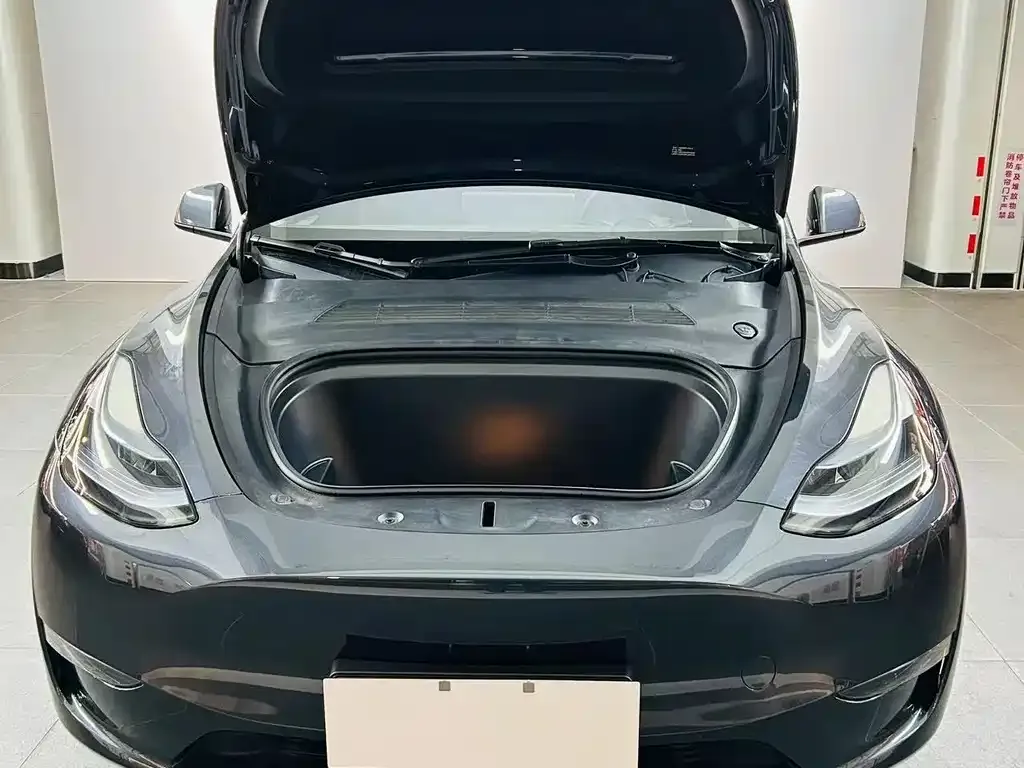 Tesla Model Y — фото 5