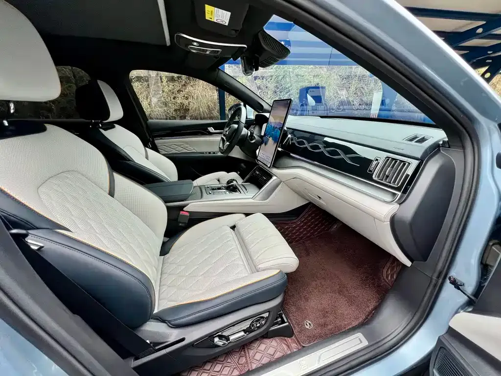 BYD Tang New Energy 2023 из CN, фото 10
