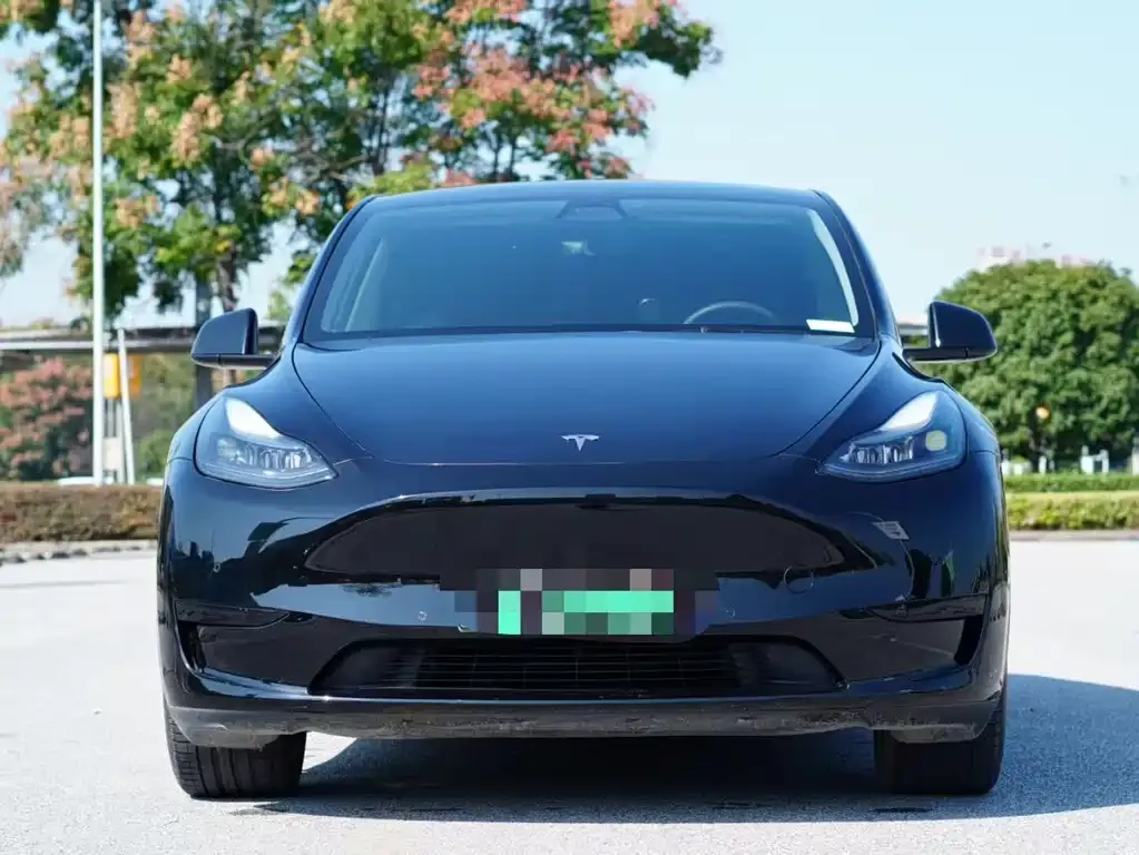 Tesla Model Y 2023 из CN, фото 2
