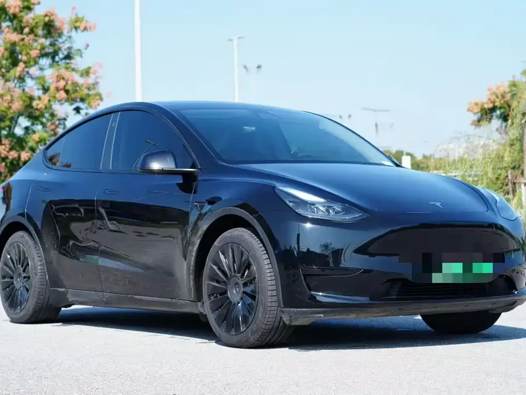 Tesla Model Y 2023 из CN, фото 3