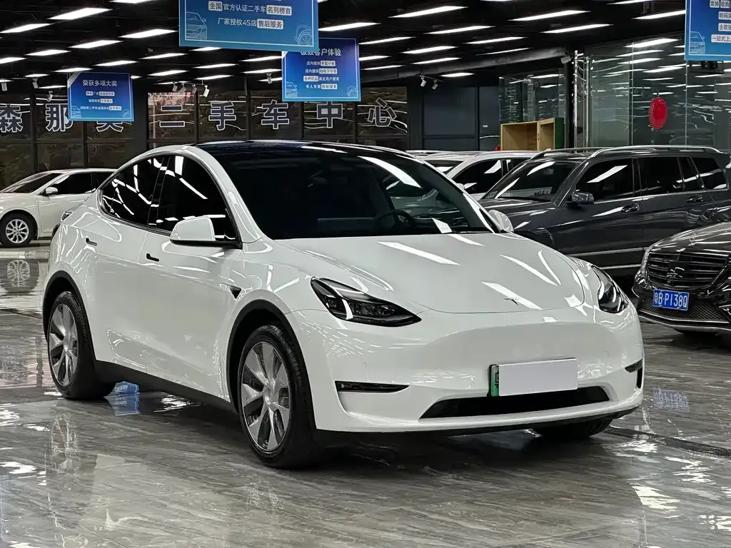 Tesla Model Y — фото 3