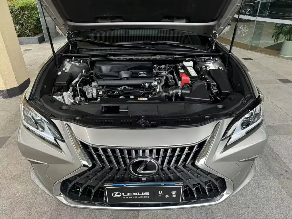 Lexus ES 2022 из CN, фото 4