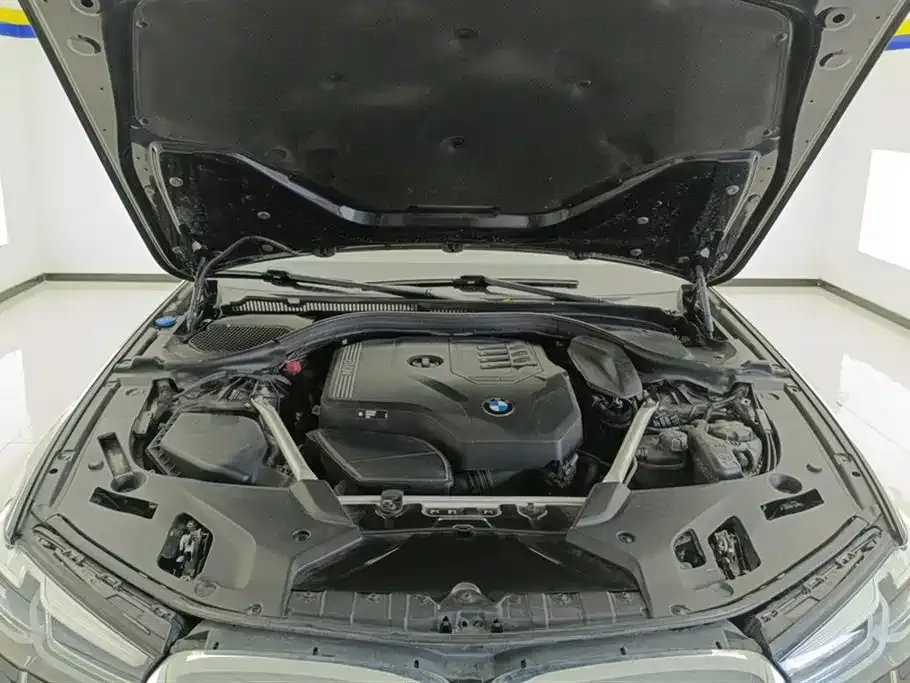 BMW 5 Series 2023 из CN, фото 10