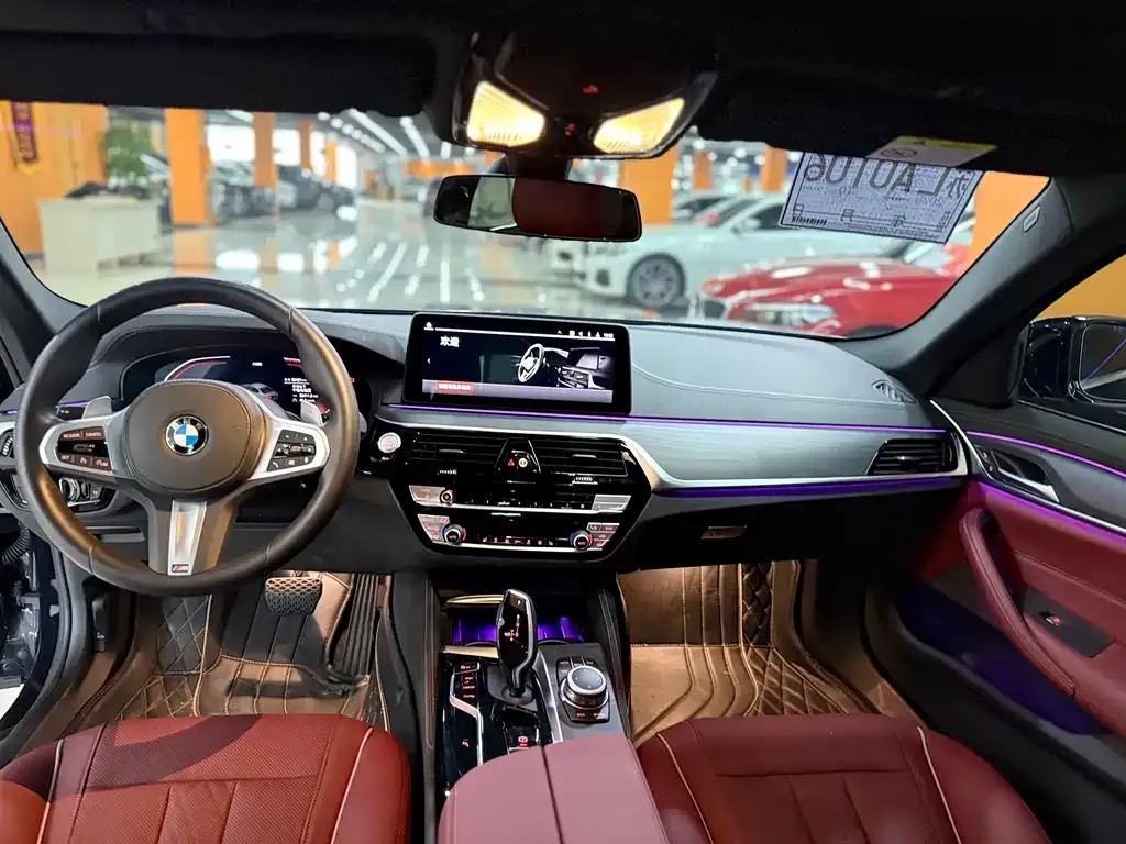 BMW 5 Series 2022 из CN, фото 4