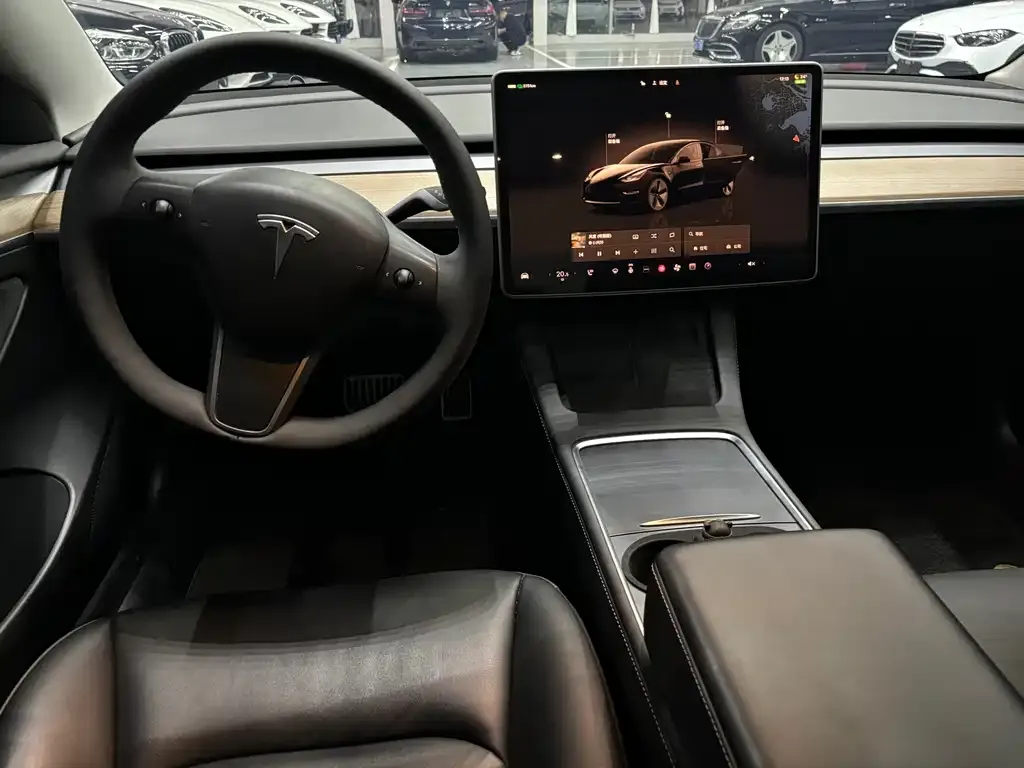 Tesla Model 3 2023 из CN, фото 9