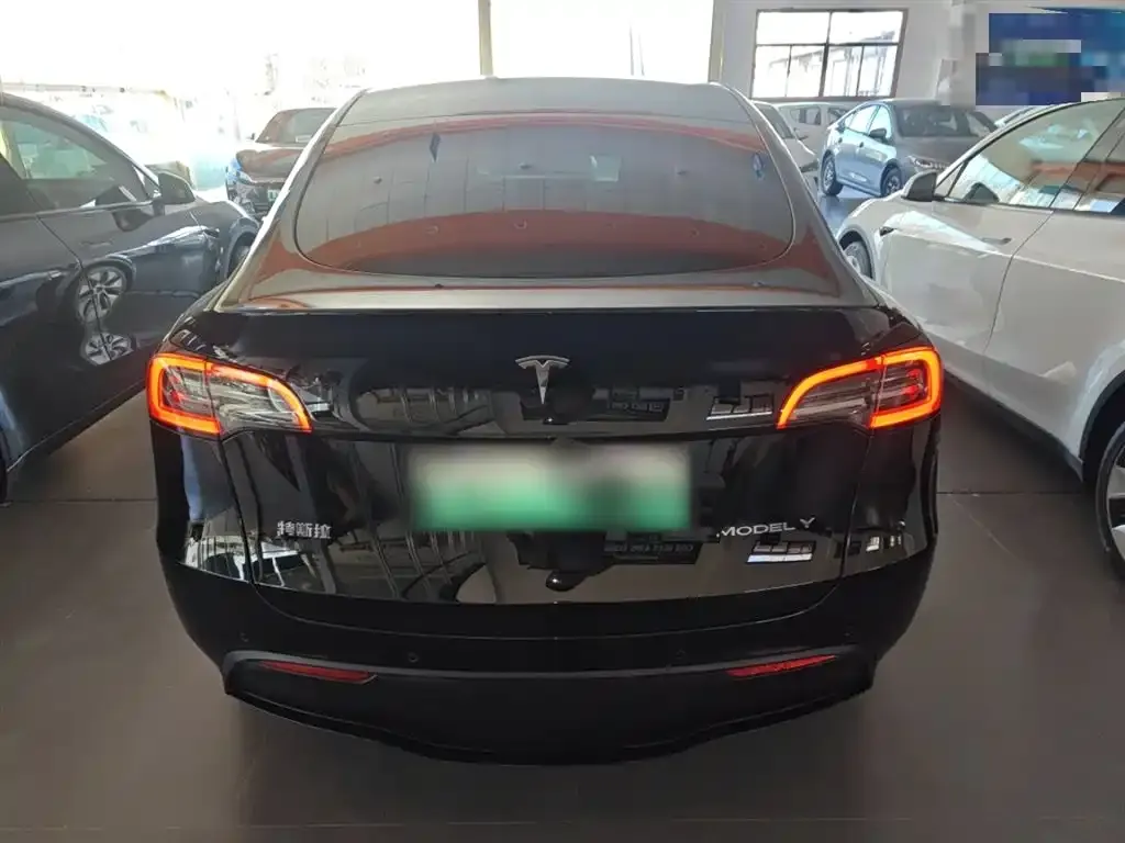 Tesla Model Y 2022 из CN, фото 6