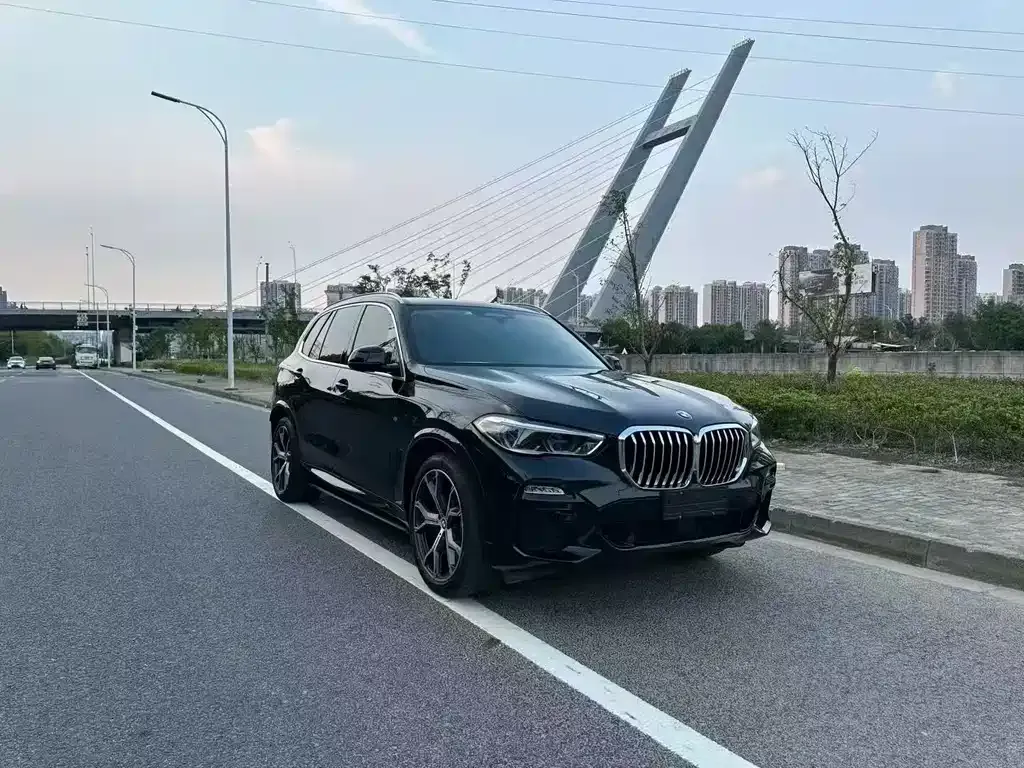 BMW X5 (Import) 2021 из CN, фото 3