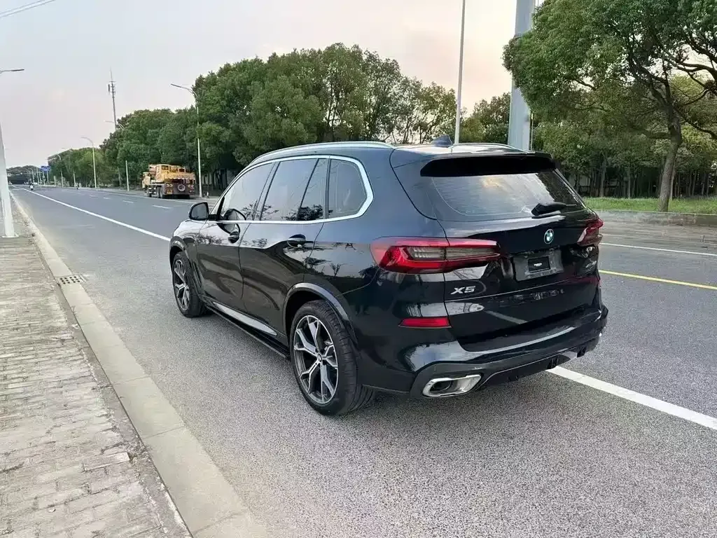 BMW X5 (Import) 2021 из CN, фото 7