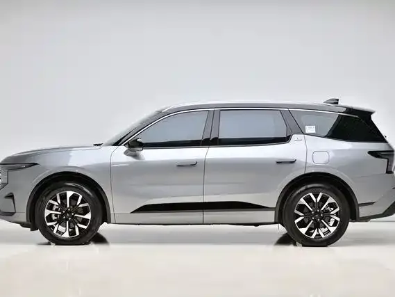 Ford Edge 2024 из CN, фото 4