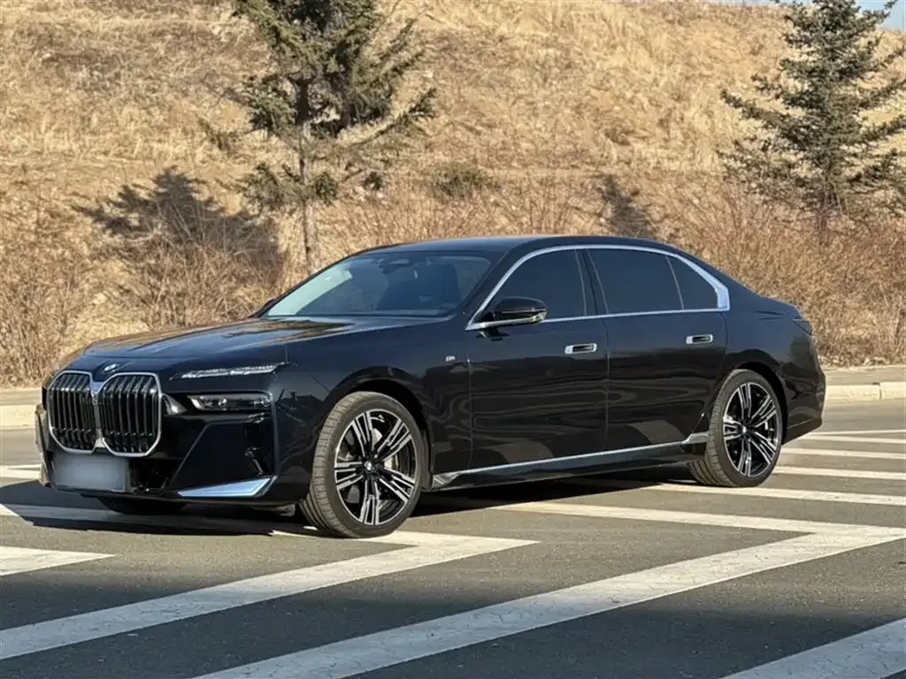 BMW 7 Series 2023 из CN, фото 1