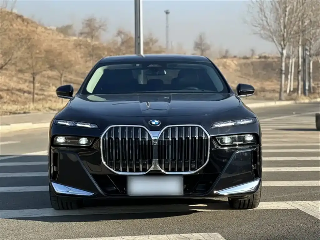 BMW 7 Series 2023 из CN, фото 3