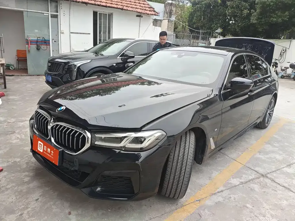 BMW 5 Series 2022 из CN, фото 1