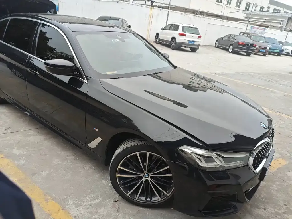 BMW 5 Series 2022 из CN, фото 2