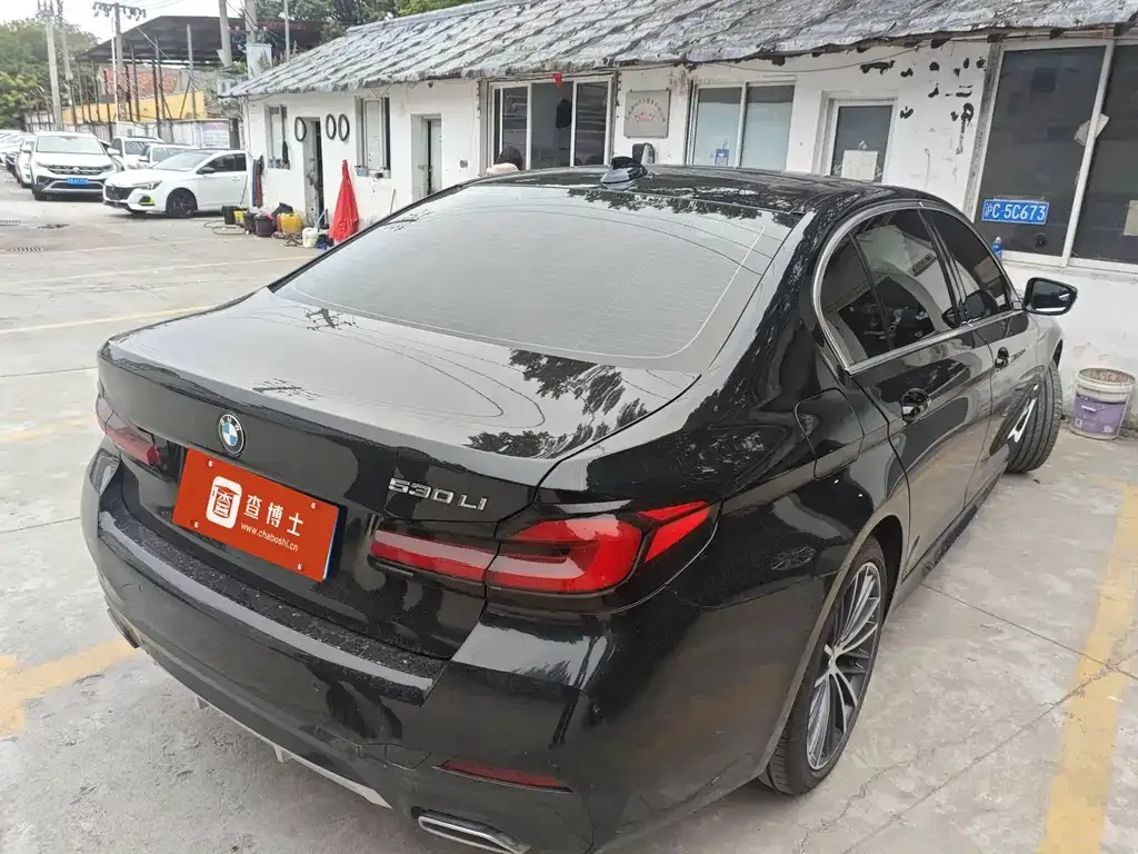 BMW 5 Series 2022 из CN, фото 3