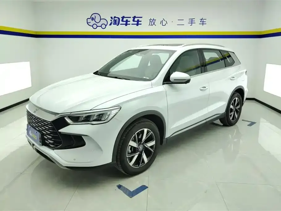 BYD Pro New Energy — фото 1
