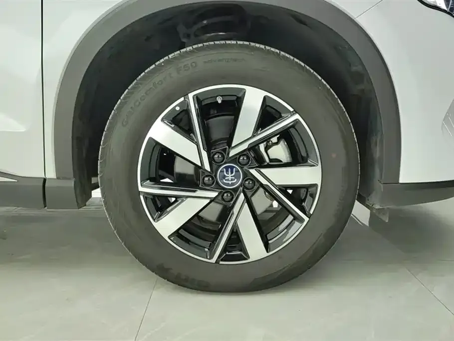 BYD Pro New Energy — фото 6
