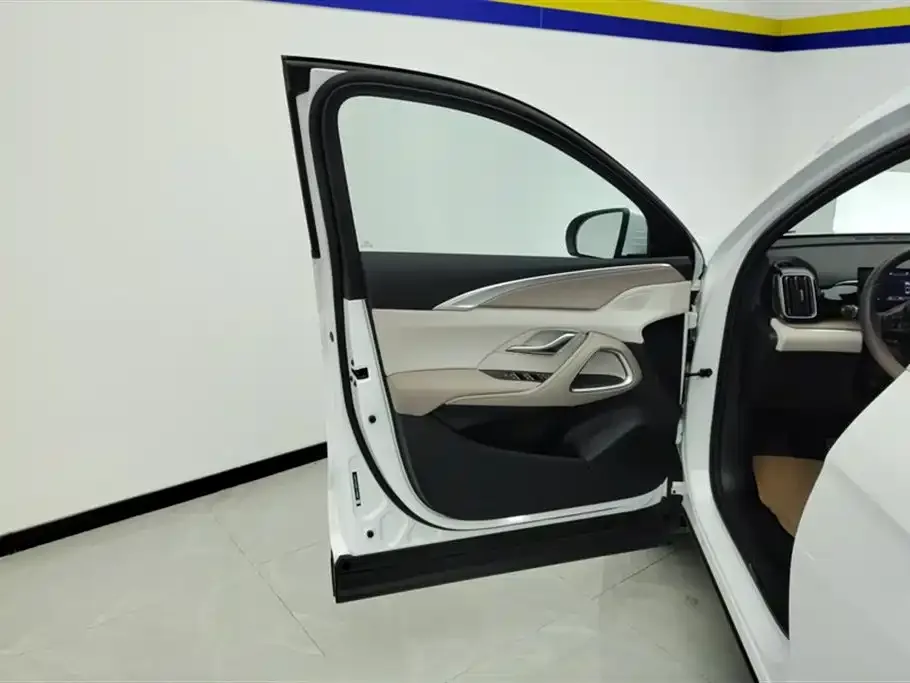 BYD Pro New Energy — фото 7