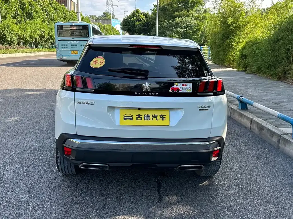 Peugeot 4008 2024 из CN, фото 6