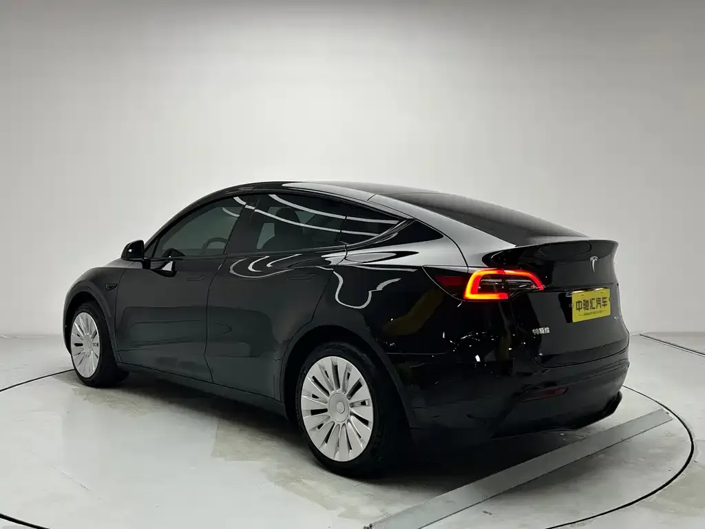 Tesla Model Y 2024 из CN, фото 6