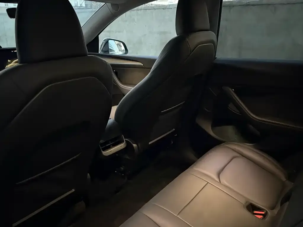 Tesla Model Y 2022 из CN, фото 4