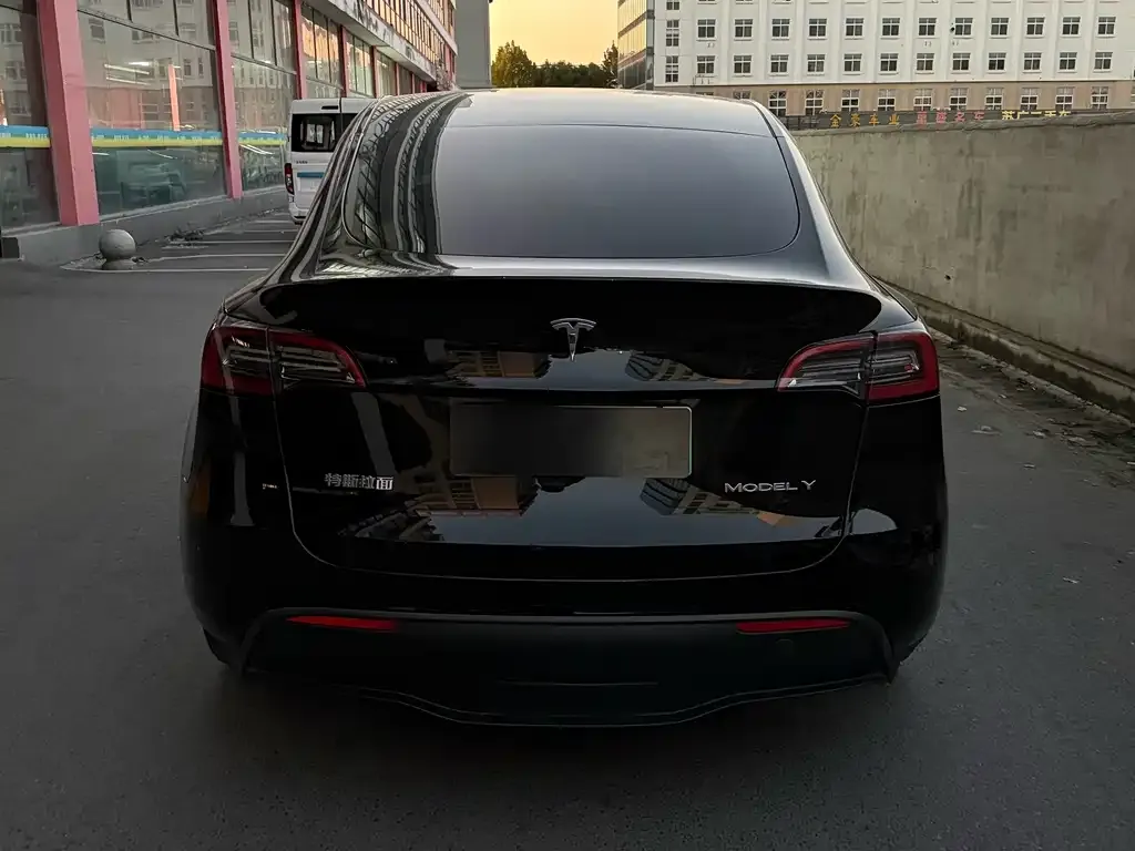 Tesla Model Y 2022 из CN, фото 6