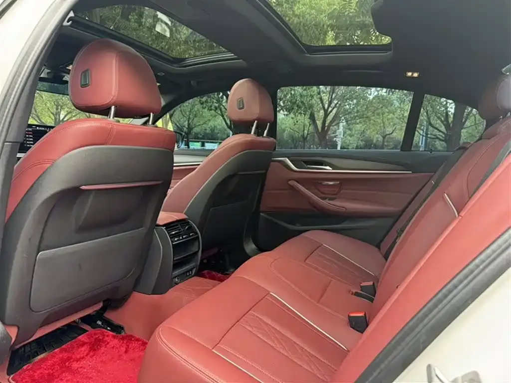 BMW 5 Series 2023 из CN, фото 10